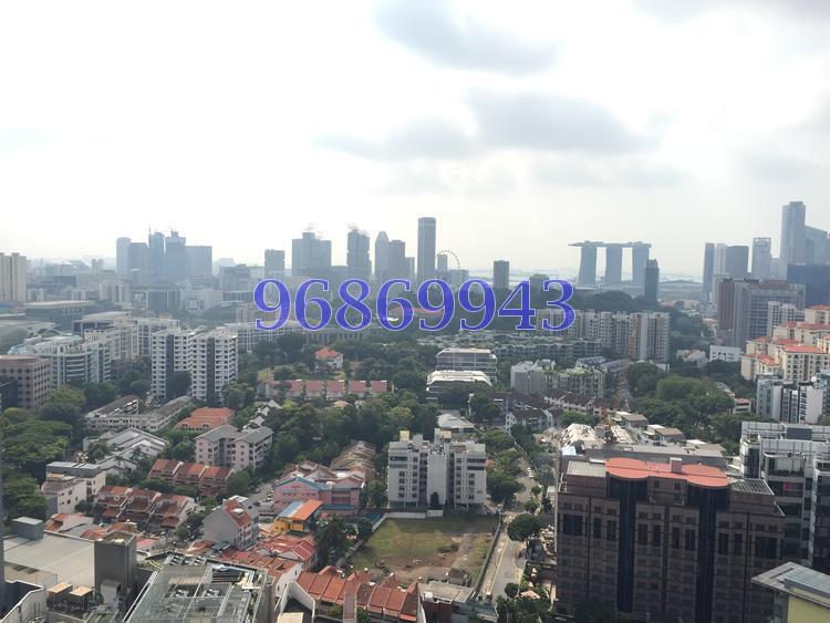 The Suites At Central (D9), Condominium #115890482